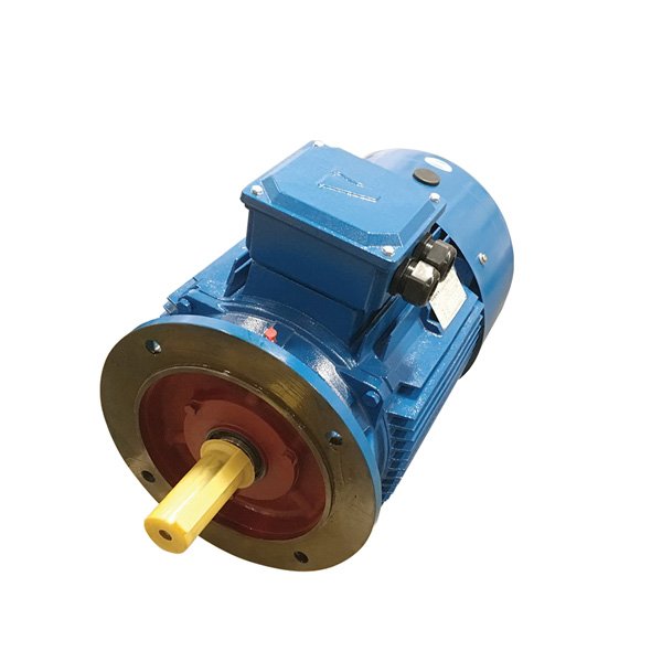 VA / Ve Series - Flange Mounted