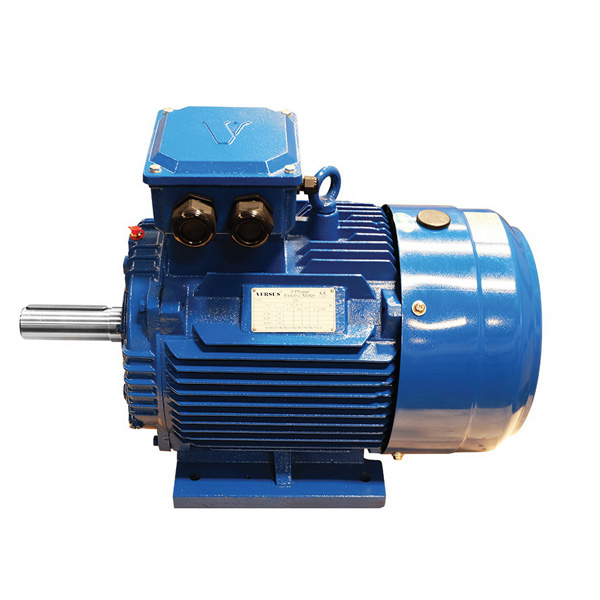 VA / VE Series - Foot Mounted